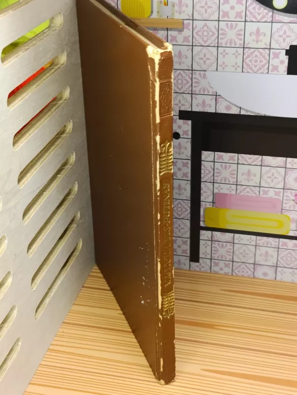 Sveikinu žemę - Vincas Mykolaitis-Putinas, knyga 4