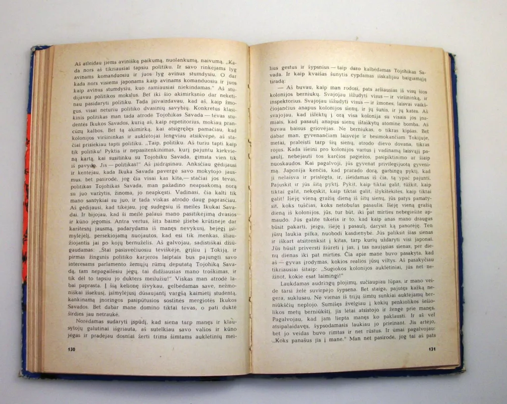 Pavelavęs jaunimas - Kendzaburas Ojė, knyga 6