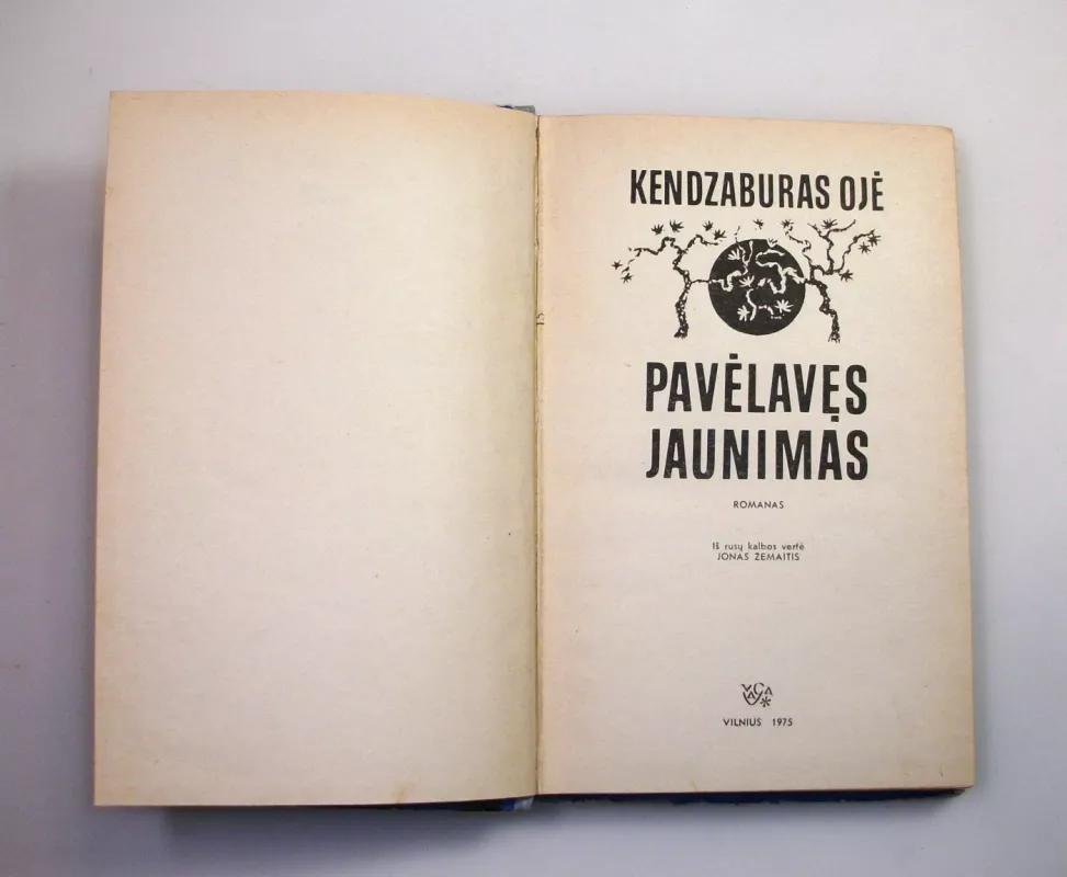Pavelavęs jaunimas - Kendzaburas Ojė, knyga 4