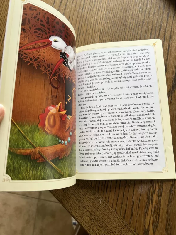 Naisių sodo gyventojų rūpestėliai ir džiaugsmeliai - Vaida Kavaliauskaitė, knyga 4