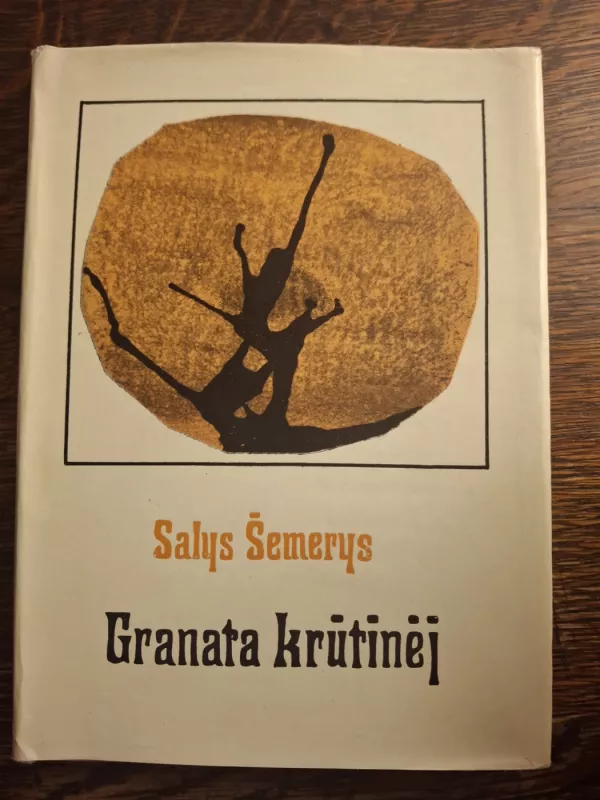 Granata krūtinėj - Salys Šemerys, knyga 2