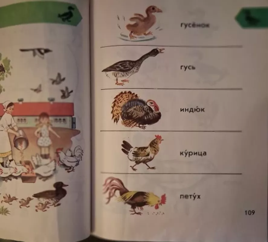 Kartinnyj slovar russkovo jazyka - I. V. Barannikov ir kt., knyga 4