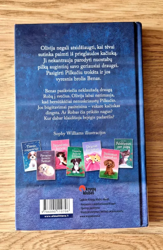 Pavogtas pilkutis - Holly Webb, knyga 3