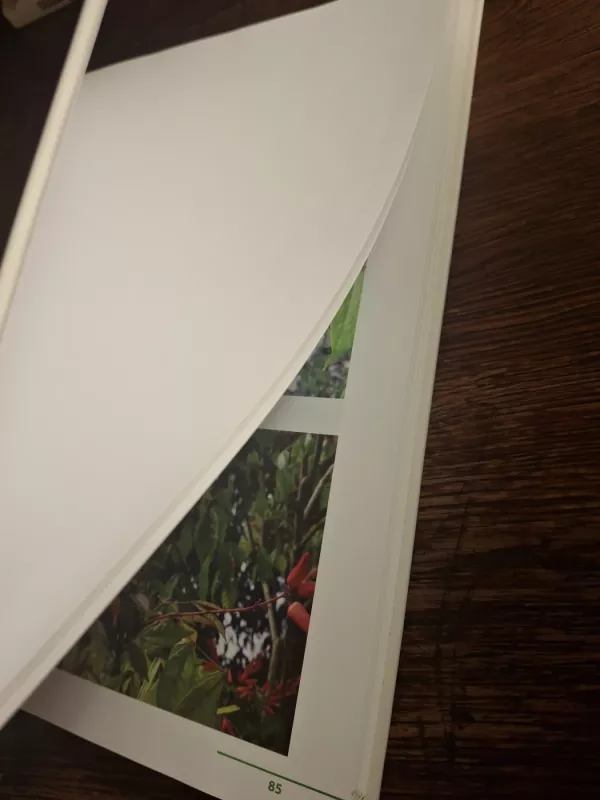 Vaistažolės - Autorių Kolektyvas, knyga 3