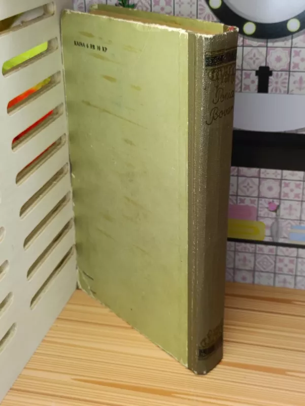 Ponia Bovari - Gustave Flaubert, knyga 4