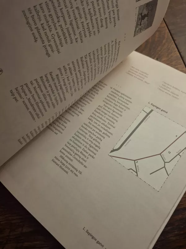 Vilnius 37 °C - Autorių Kolektyvas, knyga 3