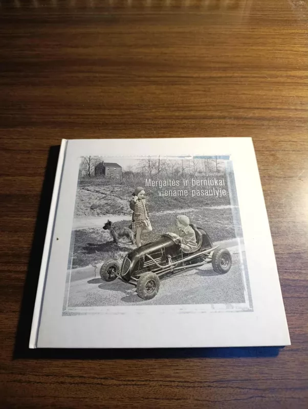 Mergaitės ir berniukai viename pasaulyje - Birutė Jakubkaitė, knyga 2