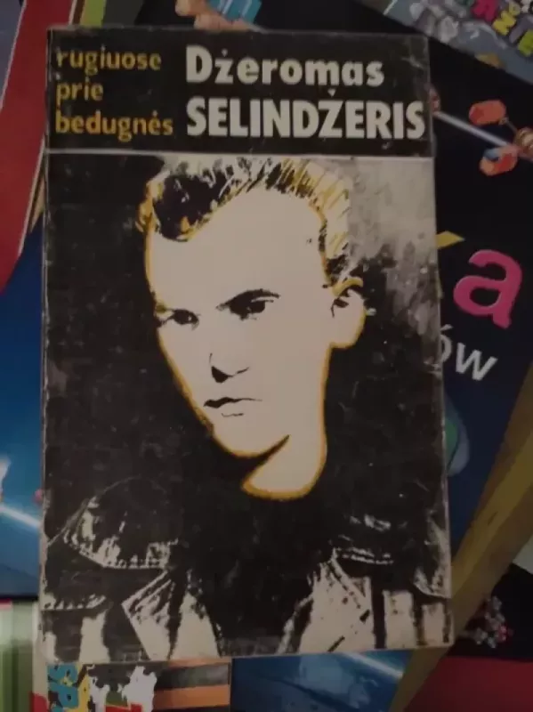 Rugiuose prie bedugnės - Džeromas Selindžeris, knyga 3