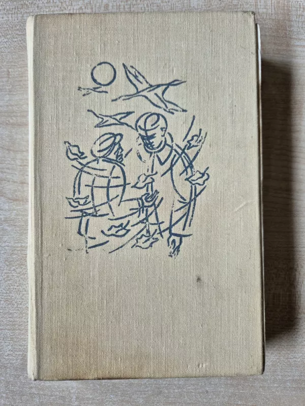 Kaimas kryžkelėje. Degimai - Jonas Avyžius, knyga 2