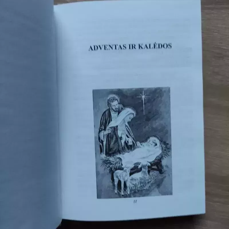 Sielos duona - Vitas Kaknevičius, knyga 5