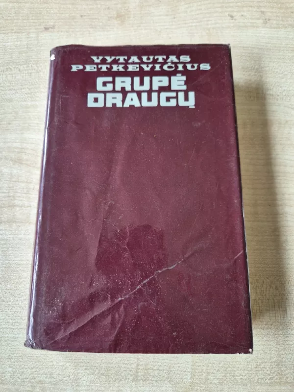 Grupė draugų - Vytautas Petkevičius, knyga 2