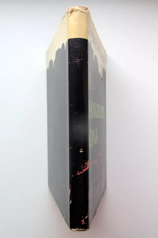 O laikrodis eina - Jonas Mikelinskas, knyga 5