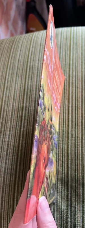 Didvyrio kalnas - Selemonas Paltanavičius, knyga 4