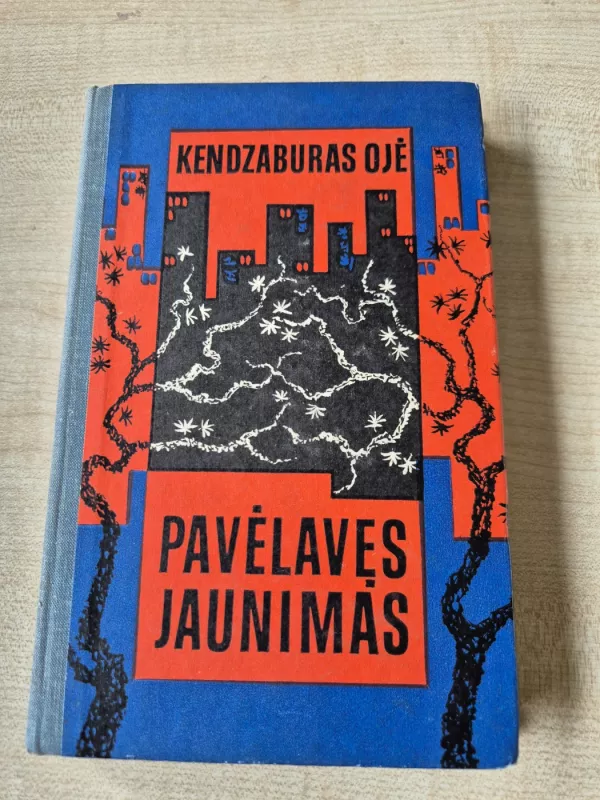 Pavelavęs jaunimas - Kendzaburas Ojė, knyga 2