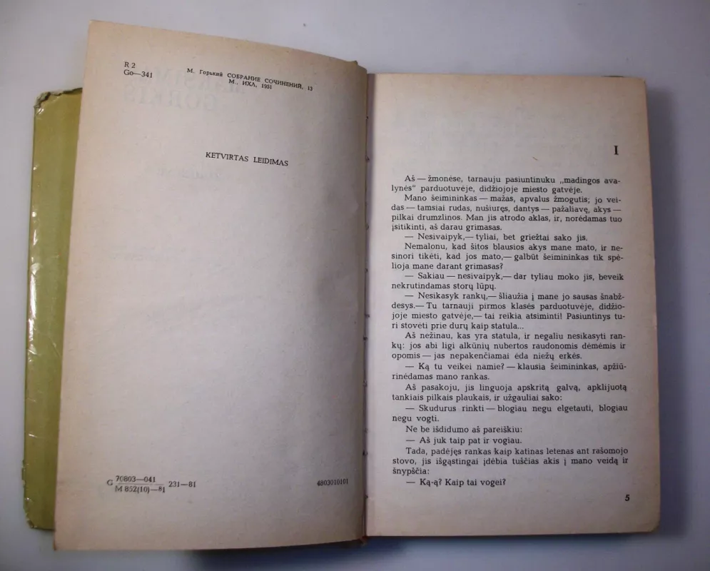 Žmonėse - Maksimas Gorkis, knyga 5