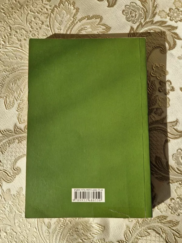 Logika ir dirbtinis intelektas - Stanislovas Norgėla, knyga 5