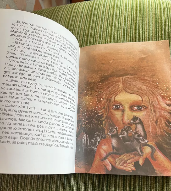 Didvyrio kalnas - Selemonas Paltanavičius, knyga 5