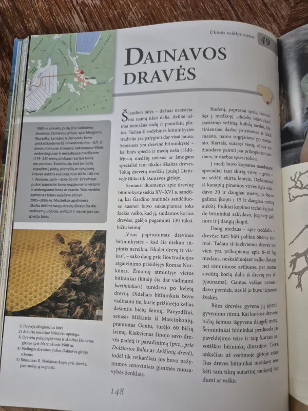 Didžioji knyga apie Lietuvą - Autorių Kolektyvas, knyga 6