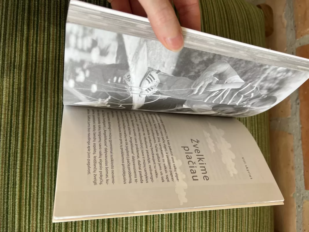 Angelėliai. Patarimai tėvams kaip pakeisti šeiminį gyvenimą ir labiau džiaugtis savo vaikais - Tanya Byron, Sacha  Baveystock, knyga 5