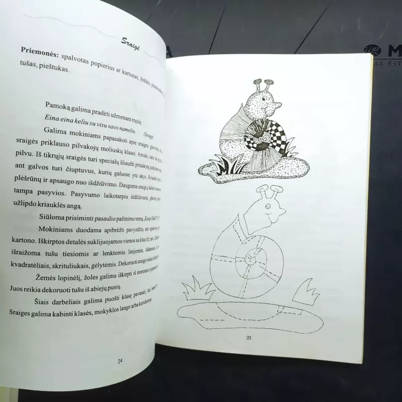 Erdvės puošybos dekoratyviniai akcentai - Danutė Misiūnienė, knyga 3