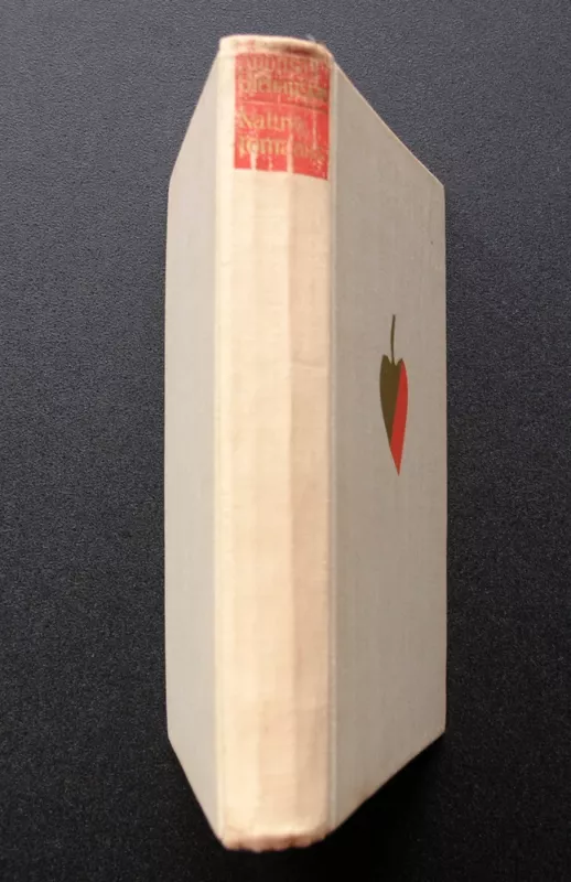 Kauno romanas - Alfonsas Bieliauskas, knyga 4