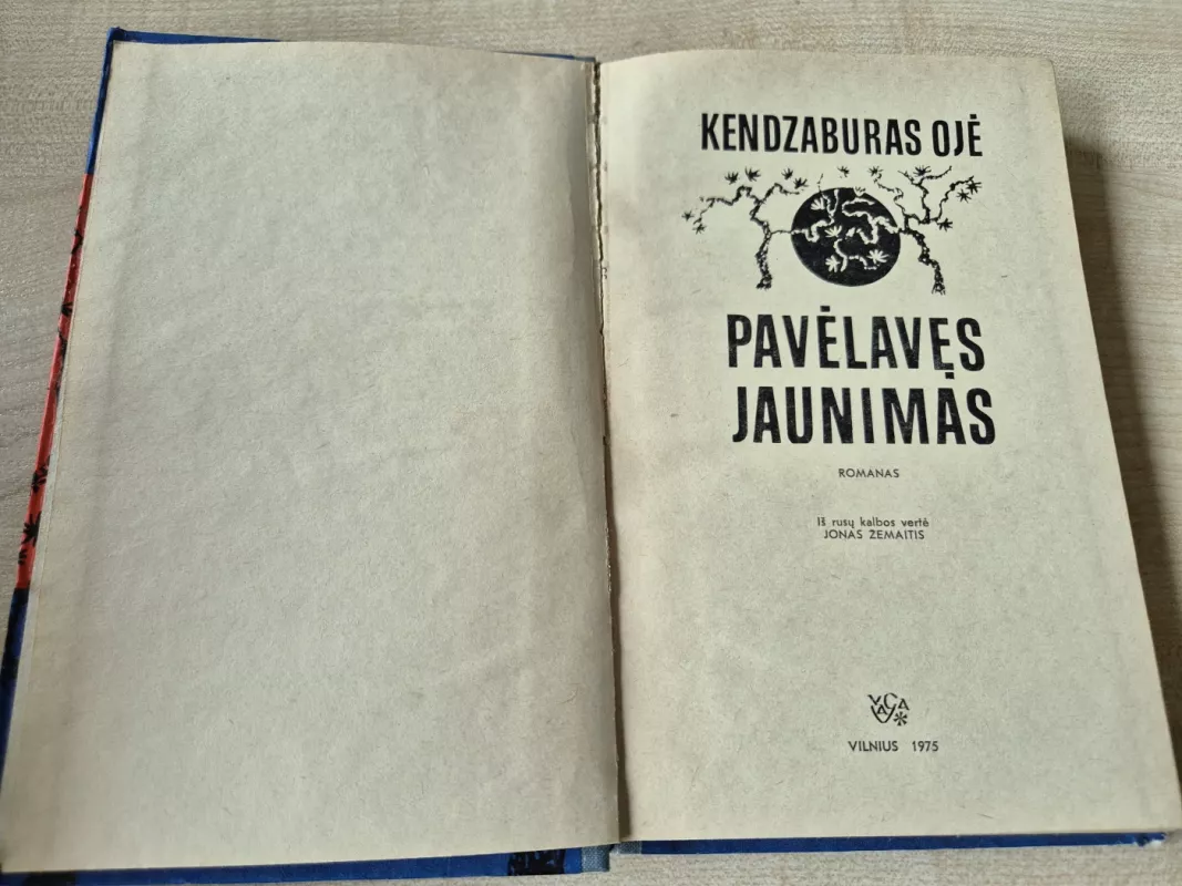 Pavelavęs jaunimas - Kendzaburas Ojė, knyga 3
