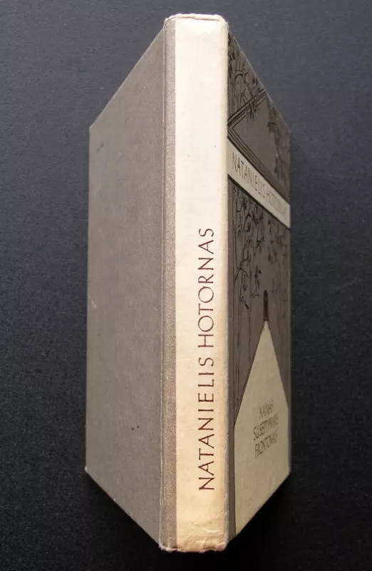 Namas su septyniais frontonais - Natanielis Hotornas, knyga 5