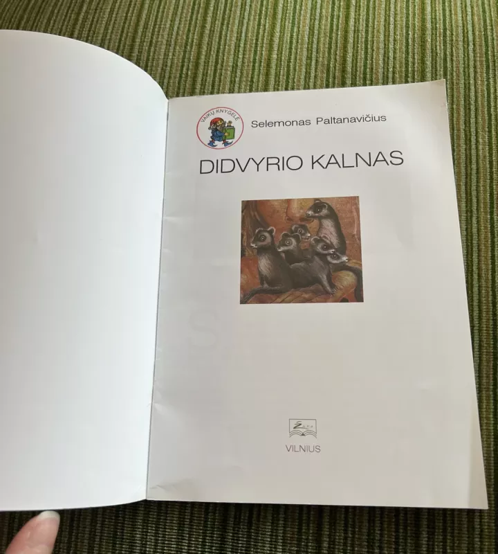 Didvyrio kalnas - Selemonas Paltanavičius, knyga 6