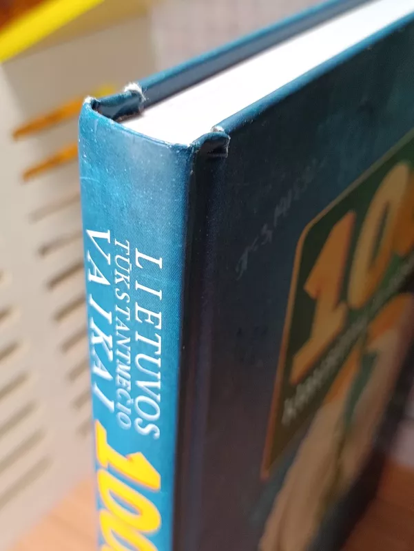 1000 klausimų ir atsakymų. Lietuvos tūkstantmečio vaikai - Autorių Kolektyvas, knyga 6