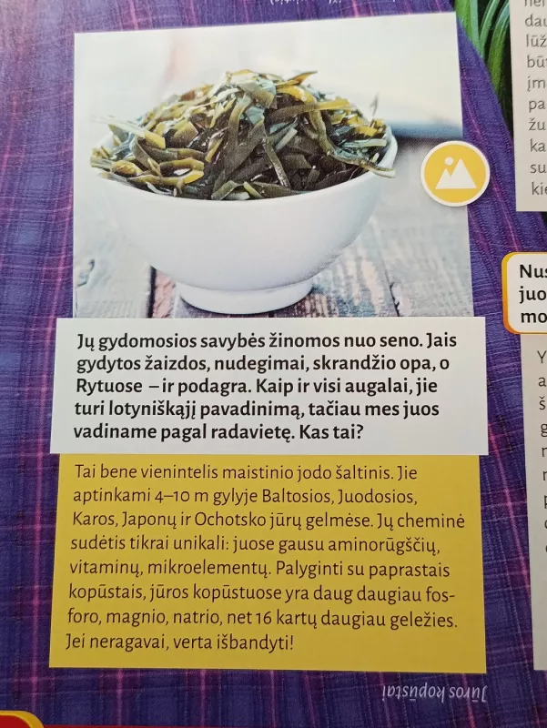 1000 klausimų ir atsakymų. Lietuvos tūkstantmečio vaikai - Autorių Kolektyvas, knyga 5