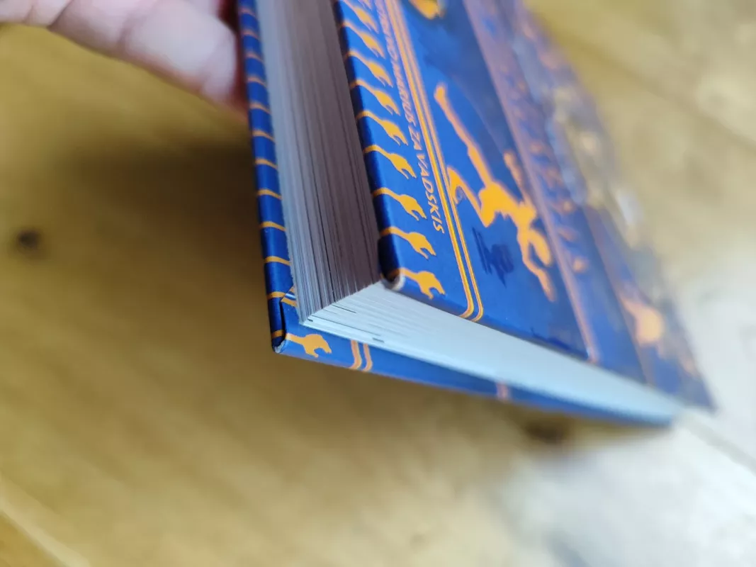 Lobių ieškotojai - Agnieszka Stelmaszyk, knyga 5