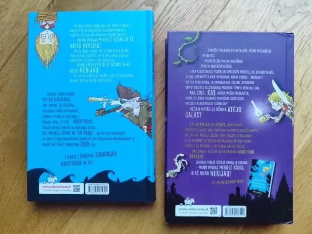 Neįtikėtini Meibelės Džons nuotykiai, Meibelė Džons ir uždraustasis miestas - Will Mabbitt, knyga 3