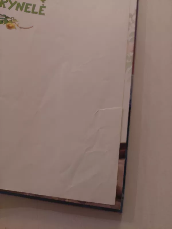 Pasakų skrynelė - Autorių Kolektyvas, knyga 5