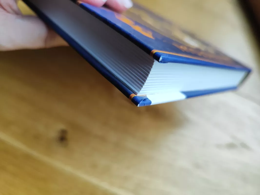 Lobių ieškotojai - Agnieszka Stelmaszyk, knyga 6