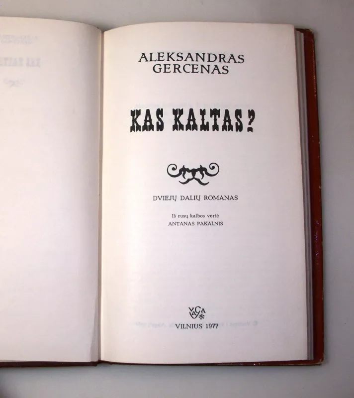 Kas kaltas? - Aleksandras Gercenas, knyga 4