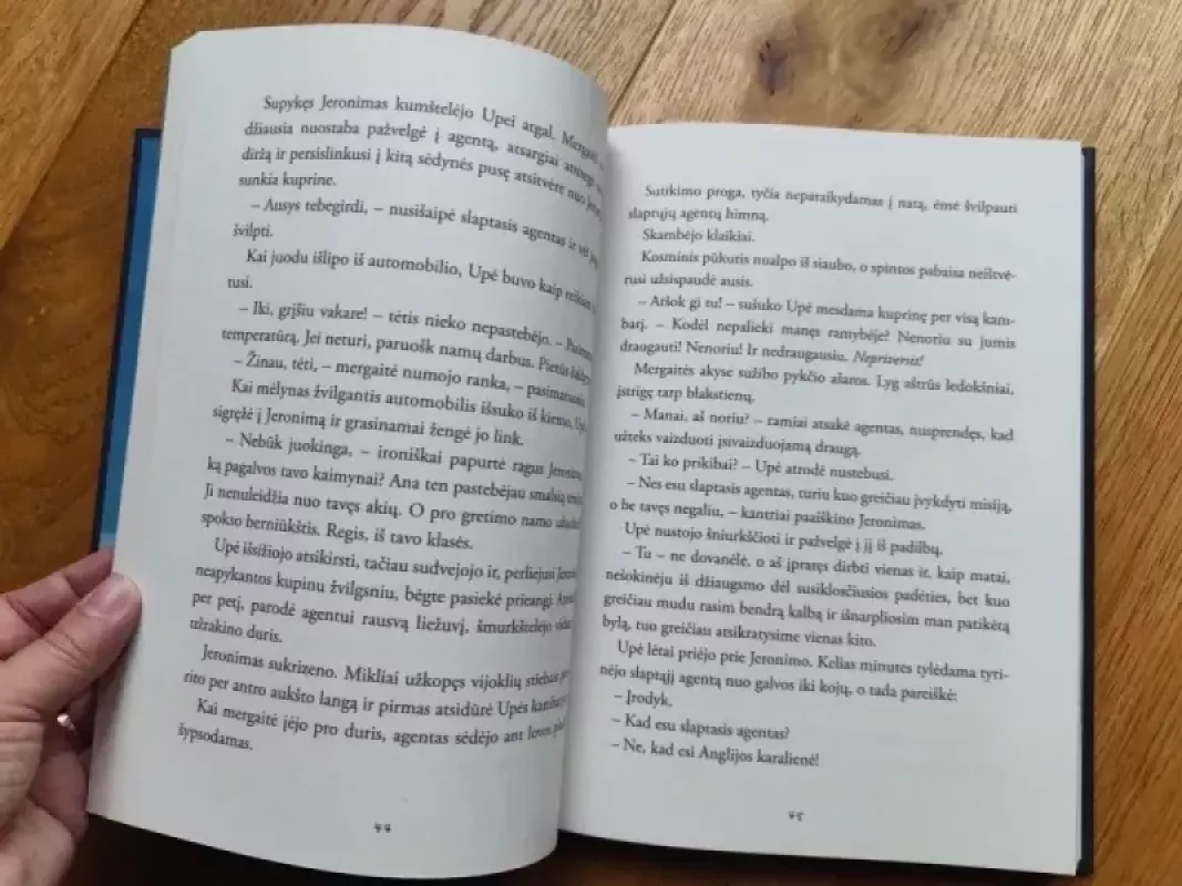 Jeronimas Dryžius ir įsivazduojamų draugų departamentas - Neringa Vaitkutė, knyga 4