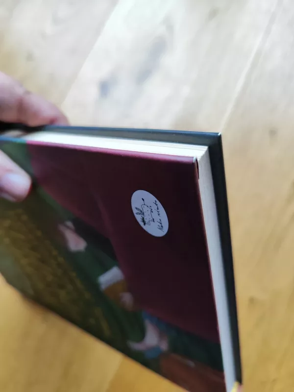 Jeronimas Dryžius ir įsivazduojamų draugų departamentas - Neringa Vaitkutė, knyga 5