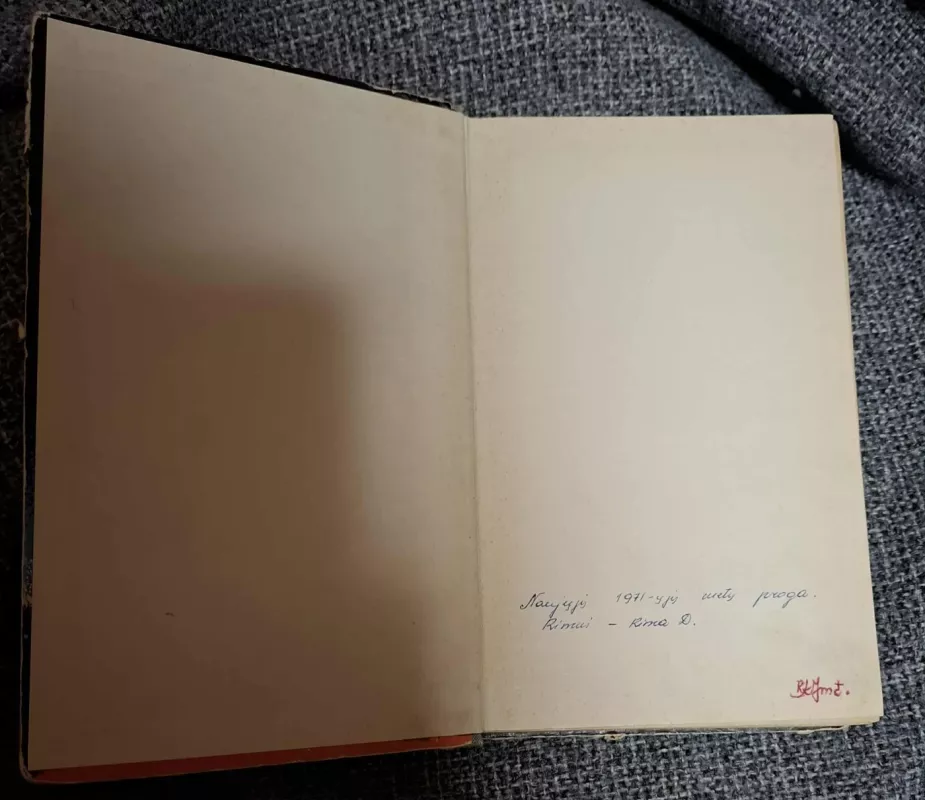 Rugiuose prie bedugnės - Džeromas Selindžeris, knyga 3