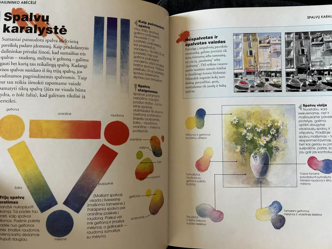 Mokomės tapyti ir piešti - Judy Martin, knyga 5