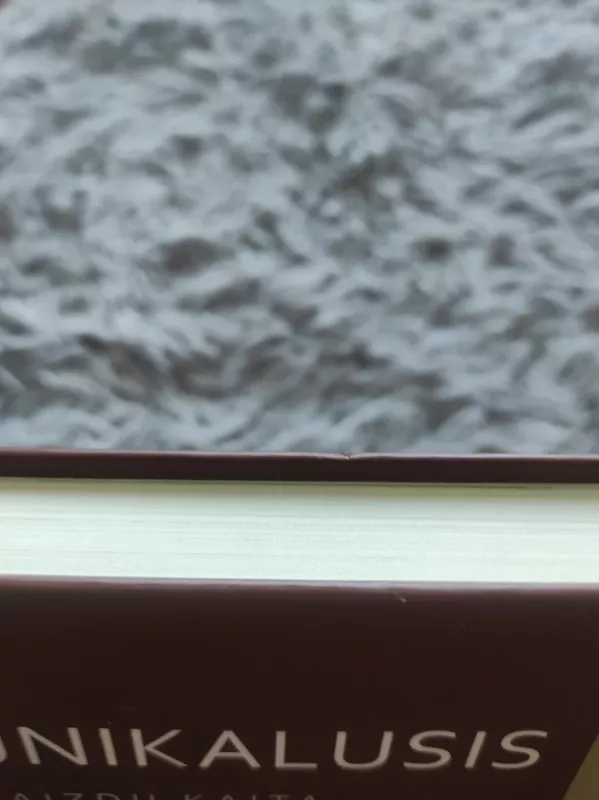 Unikalusis Vilnius. Vaizdų kaita - Vytas V.Petrošius, knyga 3