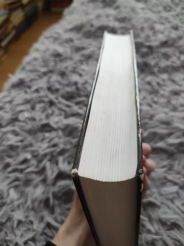 Demonai - Fiodoras Dostojevskis, knyga 5