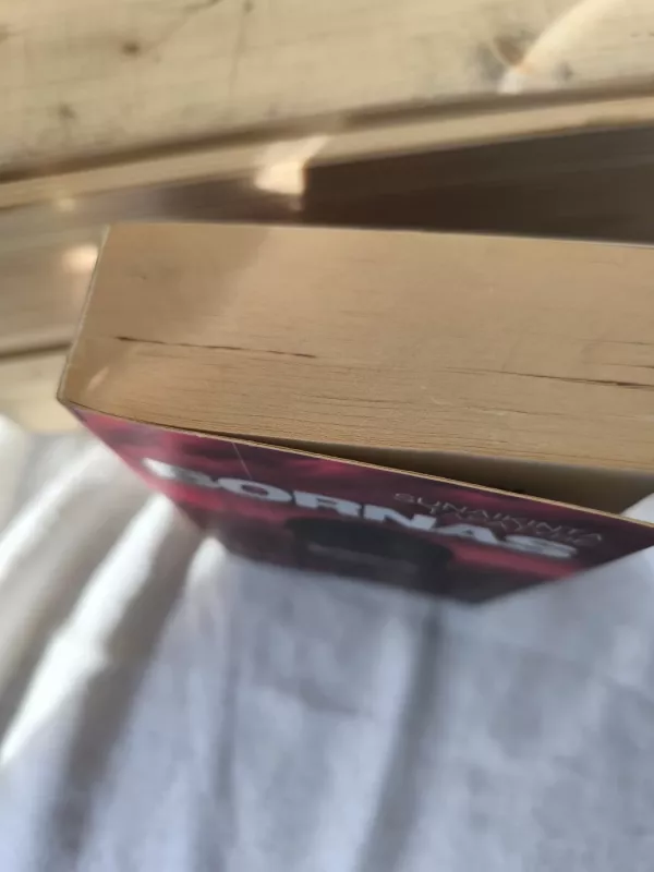 Bornas. Sunaikinta tapatybė - Robert Ludlum, knyga 4