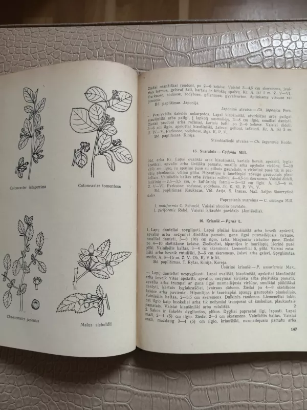 Vadovas Lietuvos dekoratyviniams medžiams ir krūmams pažinti - P. Snarskis, V.  Galinis, knyga 6