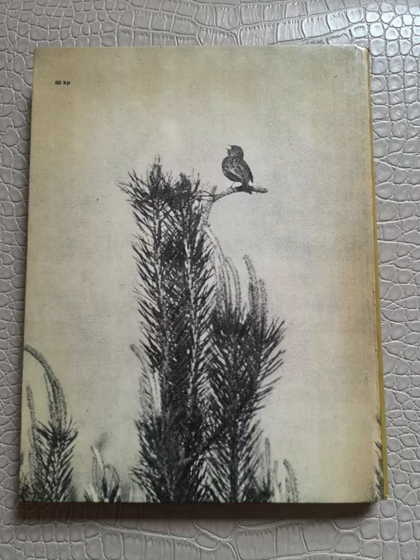 Laiškai iš bebrų upelio - Leonardas Grudzinskas, knyga 3