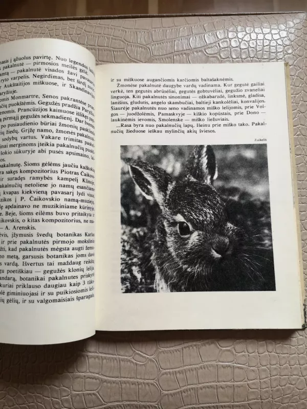 Laiškai iš bebrų upelio - Leonardas Grudzinskas, knyga 6