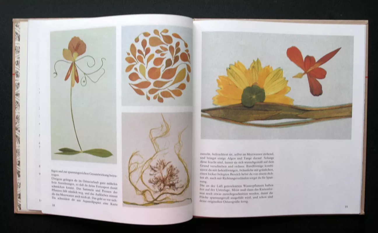 Aus Blüten, Holz und Stein. Dekoratives Gestalten mit Naturmaterial - Karin Thierbach, knyga 4