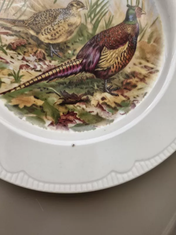 Lėkštės - , namai ir interjeras 6