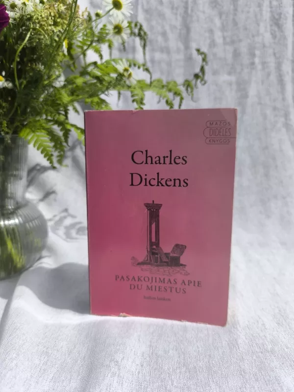 Pasakojimas apie du miestus - Charles Dickens, knyga 2
