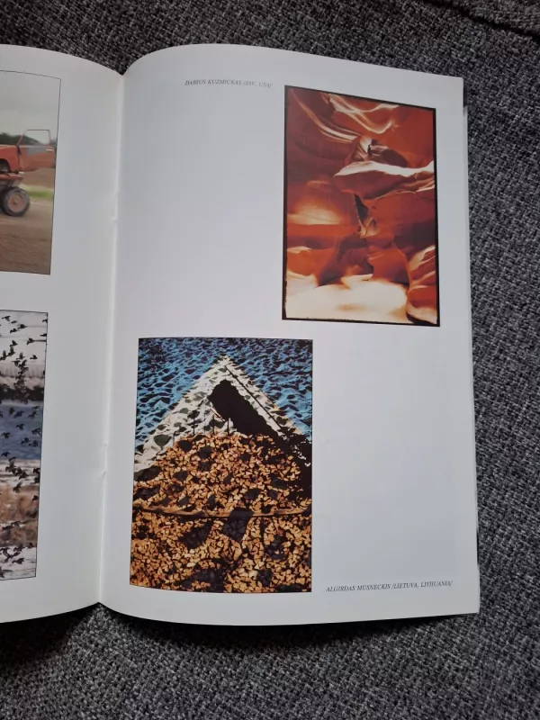 Gamta - visų namai 2000 - author nera, knyga 5