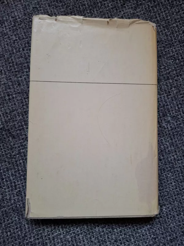 Dangus griūva. Jurgio Paketurio klajonės - Kazys Boruta, knyga 5